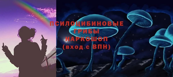 бошки Алзамай