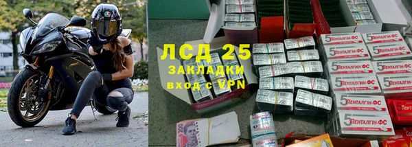 бошки Алзамай