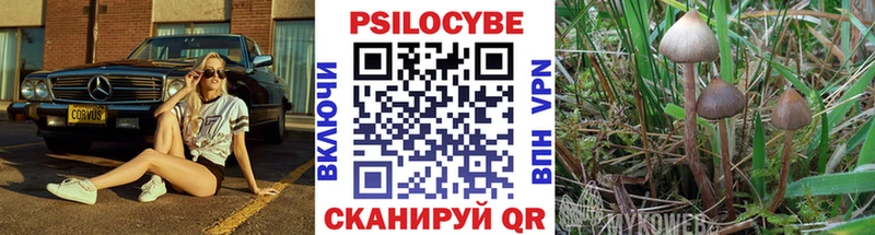 что такое наркотик  Балей  Галлюциногенные грибы GOLDEN TEACHER 